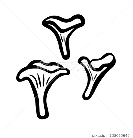 Chanterelle mushrooms set. Ink black hand drawn line illustration on white background. Chanterelle mushrooms set. Ink black hand drawn line illustration on white background. 138053643
