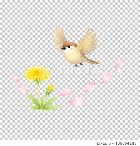 簡潔的設計，以蒲公英和小鳥為主題；展現自然的春天景象；白色背景上的花瓣裝飾。 138054185