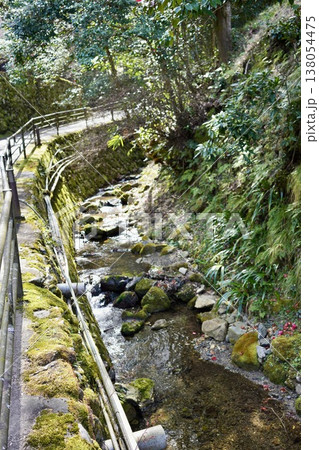 遊歩道脇の渓流 遊歩道脇の渓流 138054475