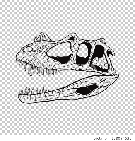 Ceratosaurus skull fossil (monochrome) Ceratosaurus skull fossil (monochrome) 138054536