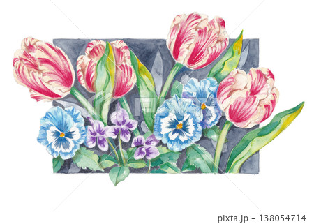 春の植物の手描き水彩イラスト 春の植物の手描き水彩イラスト 138054714