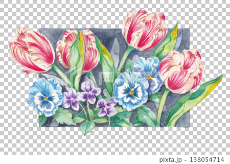 手繪水彩春季植物插圖 138054714