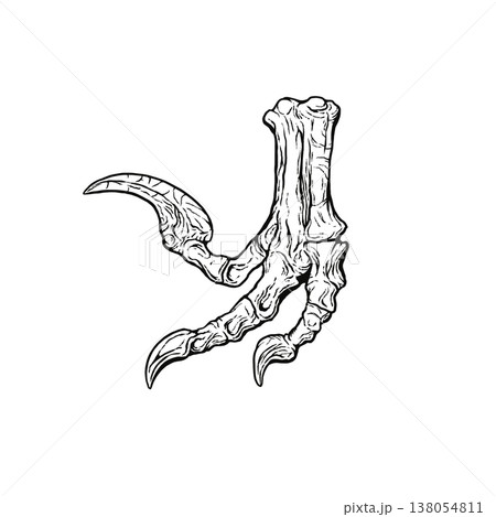 ヴェロキラプトルの後脚の化石 モノクロ ヴェロキラプトルの後脚の化石 モノクロ 138054811