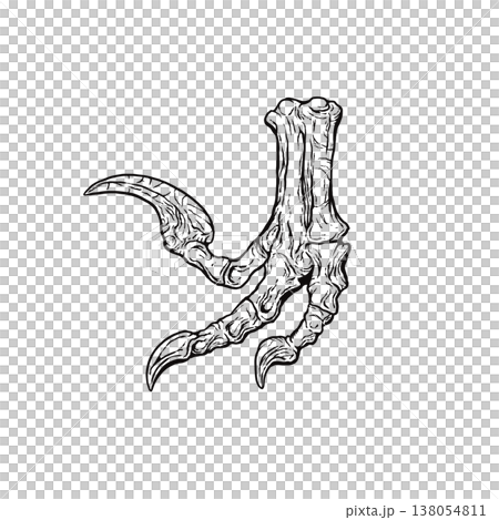 ヴェロキラプトルの後脚の化石 モノクロ ヴェロキラプトルの後脚の化石 モノクロ 138054811