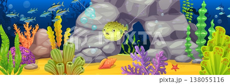 Underwater landscape game background with fugu fish. Cartoon vector game level scene with aquatic habitat and ocean ecosystem, sea coral reef, pufferfish, fish school, rock cave and tropical seaweeds 138055116