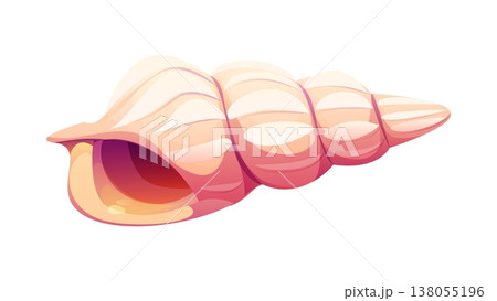 Ocean coral reef gastropod cartoon seashell or mussel. Coral reef isolated aquatic mussel, tropical sea fauna conch. Underwater mollusk seashell 138055196