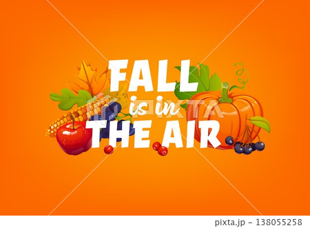 Autumn and Thanksgiving quote, fall is in the air for greeting card, vector banner. Fall harvest of pumpkin with apple and corn or cranberry berries, maple and oak leaves for autumn season quote 138055258