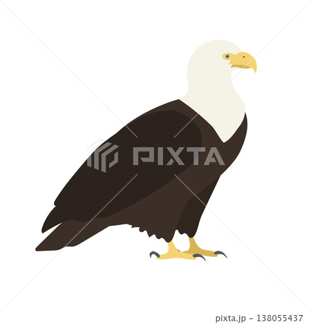 Vector flat hand drawn eagle Vector flat hand drawn eagle 138055437