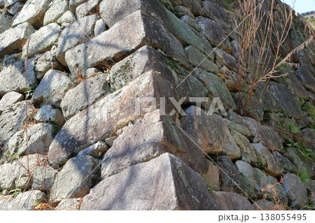 広島城の石垣 138055495