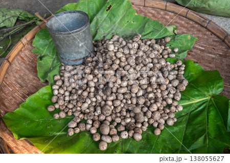 Earthstar mushrooms or puff ball mushroom selling in local market in Thailand. Earthstar mushrooms or puff ball mushroom selling in local market in Thailand. 138055627
