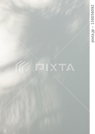 Soft blurred plant shadow minimal vertical background Soft blurred plant shadow minimal vertical background 138056092