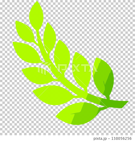 Green Laurel Branch Vector Illustration on White Green Laurel Branch Vector Illustration on White 138056256