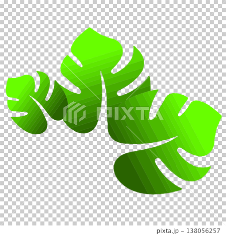 Tropical Green Monstera Leaves Graphic Illustration Tropical Green Monstera Leaves Graphic Illustration 138056257