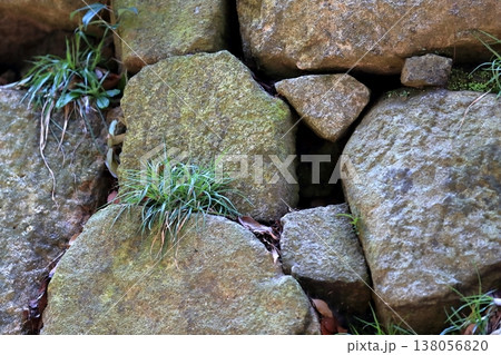 広島城の石垣 138056820