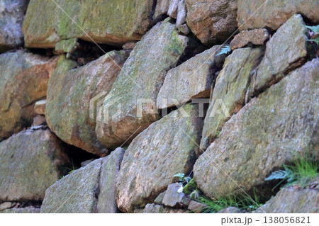 広島城の石垣 138056821