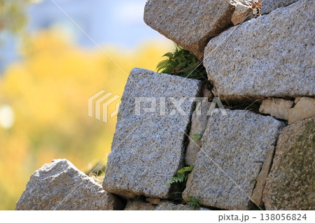 広島城の石垣 138056824