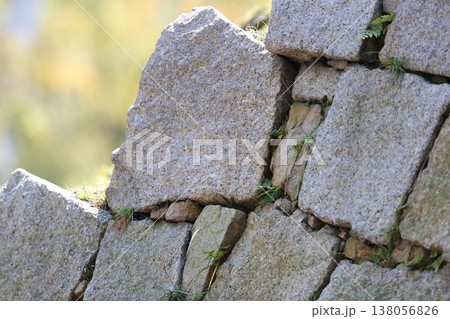 広島城の石垣 138056826