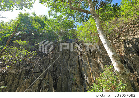 岩の展望台（THE ROCKVIEW POINT）の風景 138057092