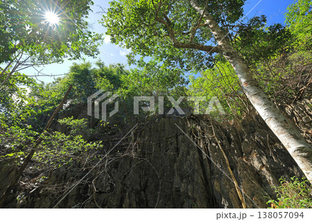 岩の展望台（THE ROCKVIEW POINT）の風景 138057094