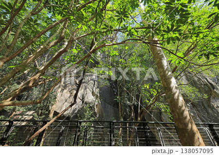 岩の展望台（THE ROCKVIEW POINT）の風景 138057095