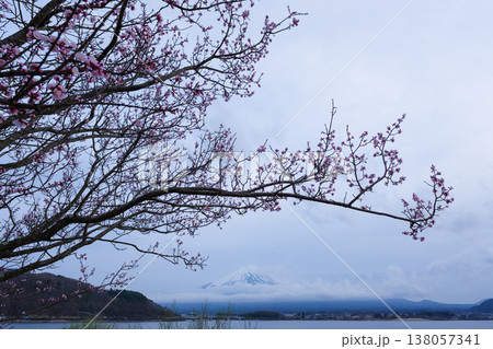 富士山と桜 138057341