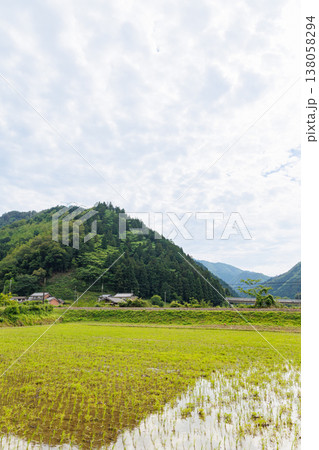 兵庫県朝来市の円山川付近の田舎風景 兵庫県朝来市の円山川付近の田舎風景 138058294