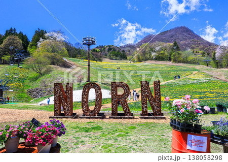NORN1 NORN1 138058298