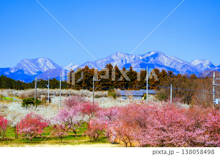 榛名山と箕郷梅林1 榛名山と箕郷梅林1 138058498