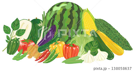 夏野菜の集合イラスト ベクター素材 138058637