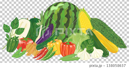 夏野菜の集合イラスト ベクター素材 138058637