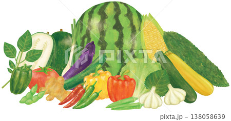 夏野菜の集合イラスト 138058639
