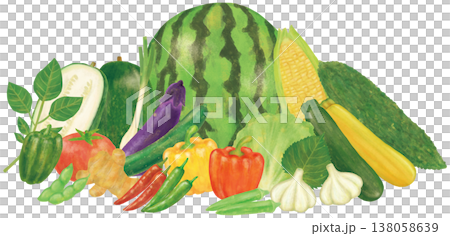 夏野菜の集合イラスト 138058639