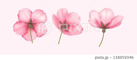Realistic pink flower illustrations on soft background 138059346