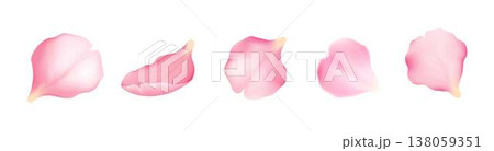 Delicate Pink Petals Collection on White 138059351