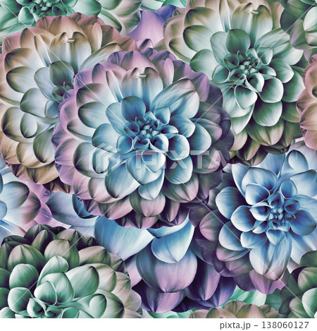 Seamless floral spring background. Dahlias flowers and petals. Close-up. Nature. 138060127