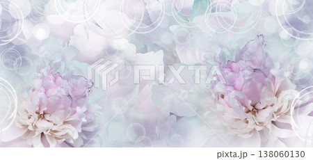 Peony flower. Floral background. Closeup. For design. Nature. Peony flower. Floral background. Closeup. For design. Nature. 138060130