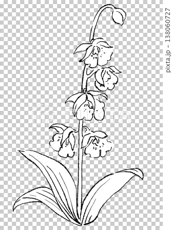 A hand-drawn line art illustration of blooming orchids. 138060727