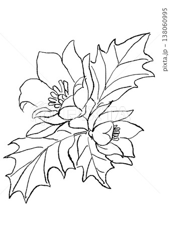 咲き誇るチューリップツリーの花の手描きの線画イラスト 138060995