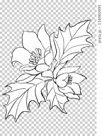 咲き誇るチューリップツリーの花の手描きの線画イラスト 138060995