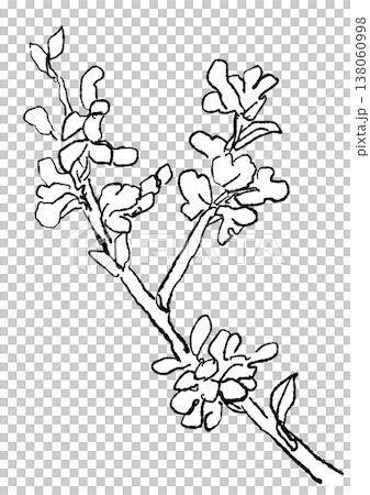 A hand-drawn line art illustration of a blooming Judas tree. A hand-drawn line art illustration of a blooming Judas tree. 138060998