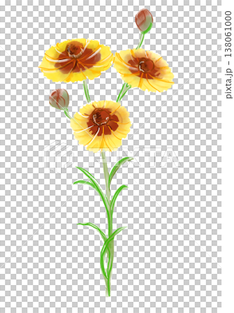 咲き誇るハルシャギクの花の手描きの水彩イラスト 咲き誇るハルシャギクの花の手描きの水彩イラスト 138061000