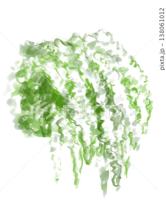 咲き誇るユキヤナギの花の手描きの水彩イラスト 咲き誇るユキヤナギの花の手描きの水彩イラスト 138061012