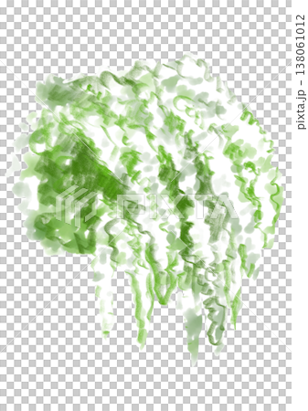 咲き誇るユキヤナギの花の手描きの水彩イラスト 咲き誇るユキヤナギの花の手描きの水彩イラスト 138061012