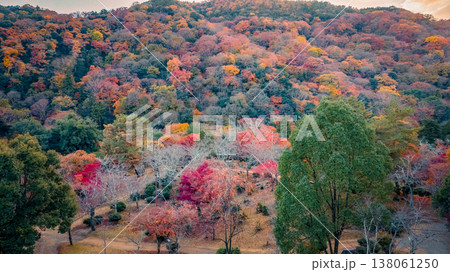 NOV 28 2025 Brilliant Autumn Colors At Arashiyama Park Kameyama Hills 138061250