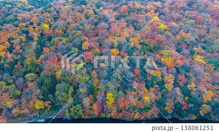 NOV 28 2025 Aerial View Of Colorful Autumn Forest With Red, Orange, 138061251