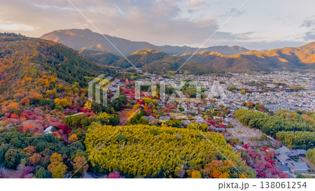 NOV 28 2025 Captures Sagano Bamboo Forest Pathway From Above 138061254
