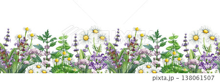 Stress relief herbal border with valerian, chamomile, lavender, sage, skullcap on white. Hand-painted botanical watercolor illustration for stress relief, herbal medicine, wellness, packaging design Stress relief herbal border with valerian, chamomile, lavender, sage, skullcap on white. Hand-painted botanical watercolor illustration for stress relief, herbal medicine, wellness, packaging design 138061507