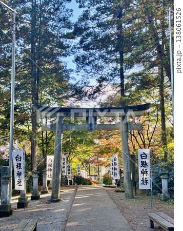 草津温泉の白根神社 138061526