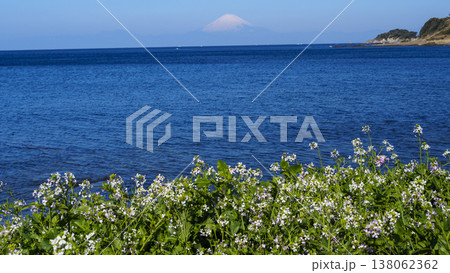 三浦半島の和田長浜の冬 138062362