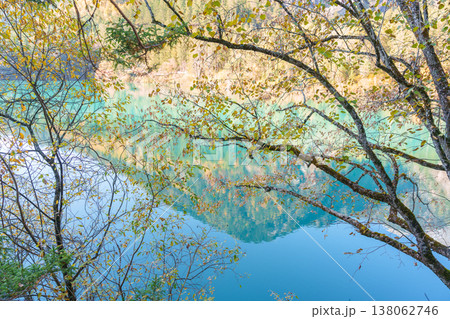 Scenery Jiuzhaigou national park in Sichuan, China. Beautiful of Arrow Bamboo Lake and snow mountain in Autumn season. Famous Landmark and Vacation near Chengdu, China. Asia travel concept 138062746